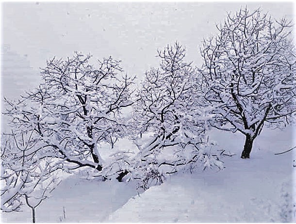 This image has an empty alt attribute; its file name is snowfall-Dolpa-.jpg